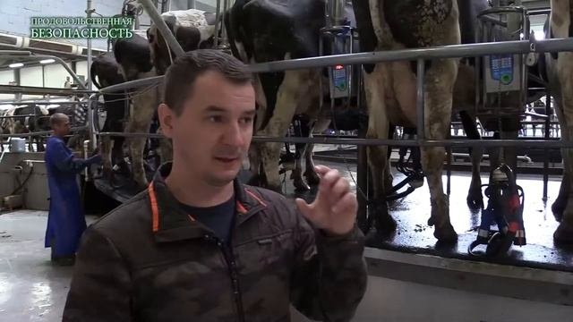 Продовольственная безопасность. Выпуск №16