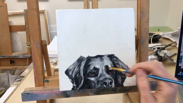 Paint a Black Dog - 3 minute Speed Painting смотреть онлайн