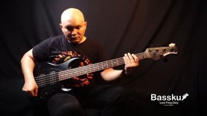 Best Musicman Bass ever! Musicman SR5 HH 5 Strings Bass!