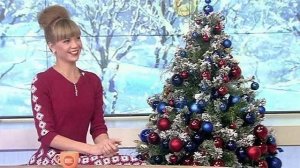 Алла Михеева о проекте "Ледниковый период" в эфире программы "Доброе утро" от 19.12.2014