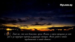 47 Сура "Мухаммад"( Ибрахим Джибрин ).