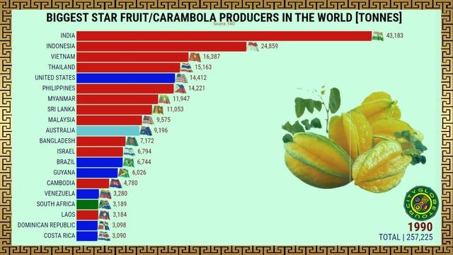 BIGGEST CARAMBOLA PRODUCERS IN THE WORLD смотреть онлайн
