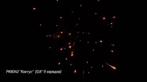 Батарея салютов Кактус (9/0,8) РК8042