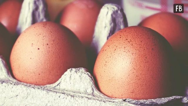 Специалисты рассказали, почему нельзя мыть сырые яйца перед приготовлением