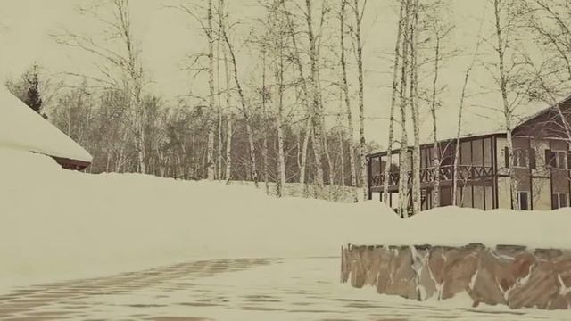 Свадьба на природе зимой в клубе "Серебряный бор" в Омске смотреть онлайн