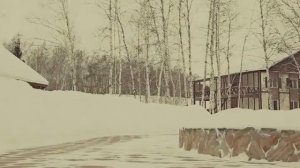 Свадьба на природе зимой в клубе "Серебряный бор" в Омске