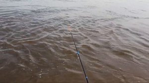 Рыбалка на реке Зея.