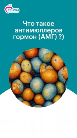 Что такое антимюллеров гормон (АМГ)?