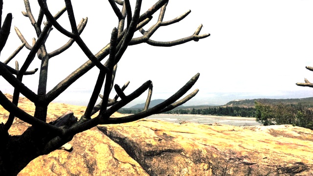 VIETNAM 2-2015 г смотреть онлайн