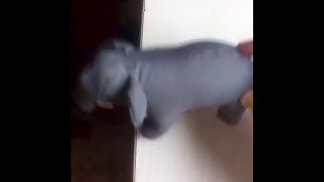 Что происходит в любой комнате пока ТЕБЯ нету в ней... смотреть онлайн