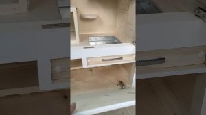 Витрина клетка для шиншиллы, дегу, белки. Собственное производство.