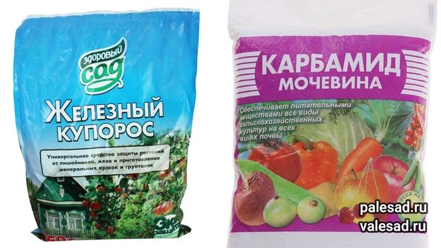 ОБРАБОТАЙТЕ ЭТИМ САД ОТ ВСЕХ БОЛЕЗНЕЙ И ВРЕДИТЕЛЕЙ! Искореняющая обработка сада осенью