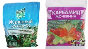 ОБРАБОТАЙТЕ ЭТИМ САД ОТ ВСЕХ БОЛЕЗНЕЙ И ВРЕДИТЕЛЕЙ! Искореняющая обработка сада осенью
