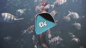 Farzani - Жизнь