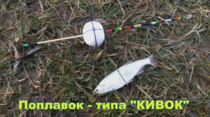Поплавок типа _КИВОК_, ПОКЛЕВКИ, краткое описание, Fishing angeln la pesca câu cá 钓鱼 рыбалка