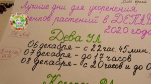 Лучшие дни для нарезки и укоренения черенков растений в декабре 2020 года