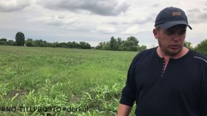 Десикант или гербицид? NO-TILL. Десикация льна. Секреты стабильного урожая. 6.08.2019г.