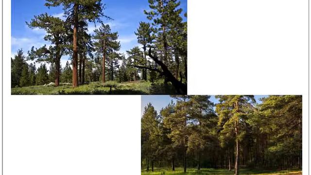 22 января 2021 г. смотреть онлайн