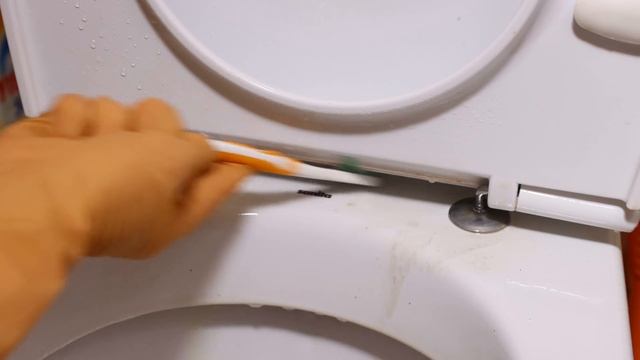 Подскажу как отмыть ТУАЛЕТ за 10 МИНУТ! Как очистить УНИТАЗ от ИЗВЕСТКОВОГО НАЛЕТА и МОЧЕВОГО КАМНЯ смотреть онлайн