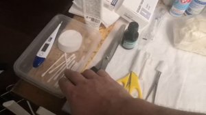 Роды у собак (Подготовка к родам у собак.)