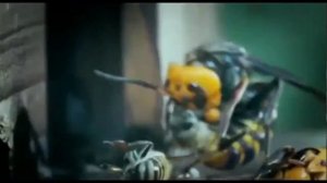 30 шершней против 30 000 пчел