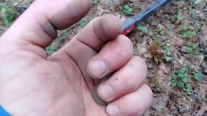 Go FIND 60 Minelab. Копаю монеты в лесу. Как копать монеты с GO FIND 60. Майнлаб го финд 60-66.