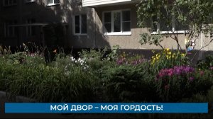 Мой двор – моя гордость!