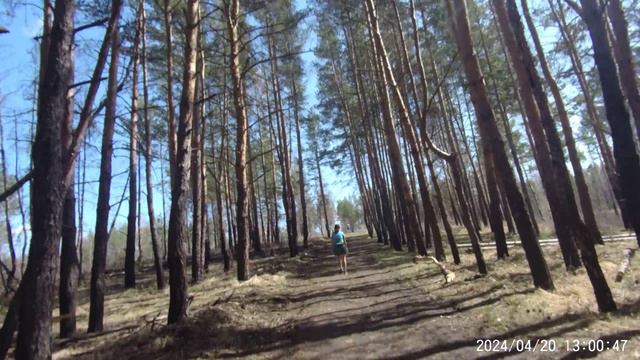 Полумарафон "Шелковый путь" Троицк 20240420