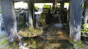необычные водяные мельницы на Пливском озере и реке Крупа