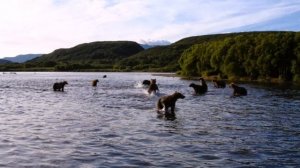 донные снасти для ловли карася своими руками