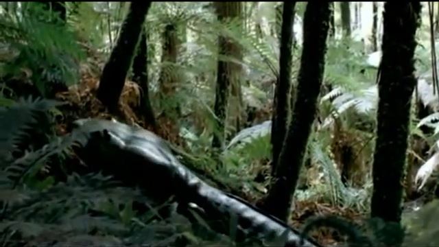 Koolasuchus history of amphibians . смотреть онлайн