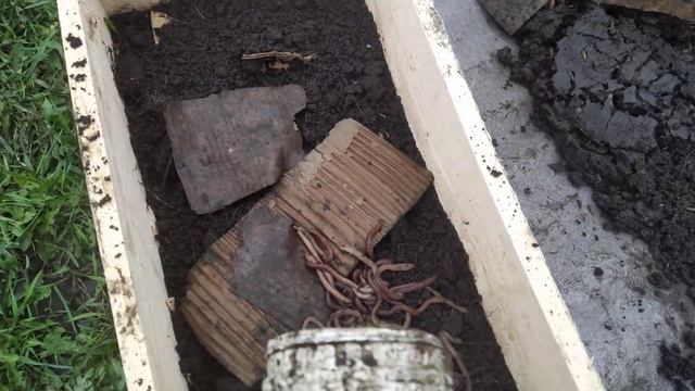 Сколько выползков в 1 кг? смотреть онлайн