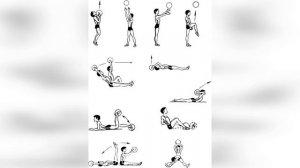 здоровый я.mp4