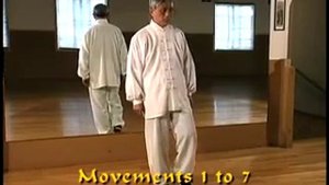 Цигун Дикого гуся (Даянь цигун - Dayan Qigong) - Part 3