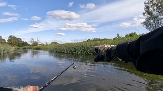 ГОЛАВЛЬ РАДУЕТ! Рыбалка на СПИННИНГ летом! Ловля ГОЛАВЛЯ на КРЕНКИ! смотреть онлайн