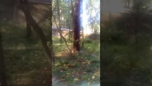 База отдыха "Электрон" истринское водохранилище(1)