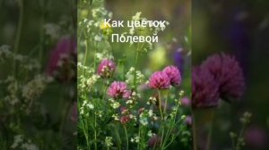 Как цветок полевой - Христианская песня.