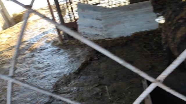 Один день из жизни фермеров. жизнь в деревне