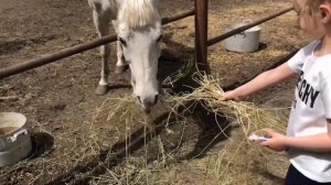 ВЛОГ: ПРИКОЛЫ В ЗООПАРКЕ ДЛЯ ДЕТЕЙ. Мультики для детей развивающие