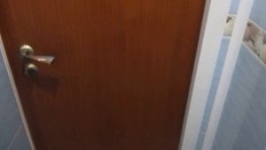 Ремонт туалета ПВХ 3D панели "Трап, тюлень, дельфины"