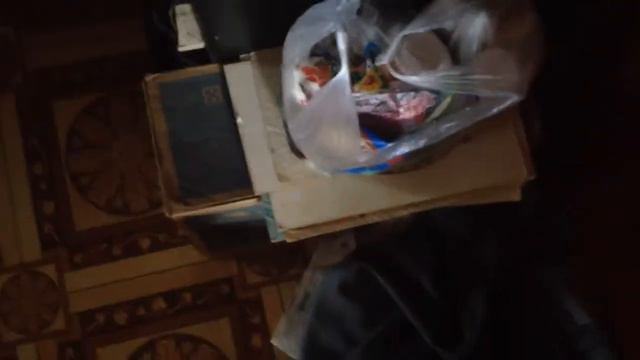 Животные встречают Маму с магазина) смотреть онлайн