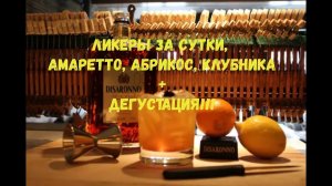 Ликеры за сутки, Амаретто, Абрикос, Клубника + Дегустация!!!