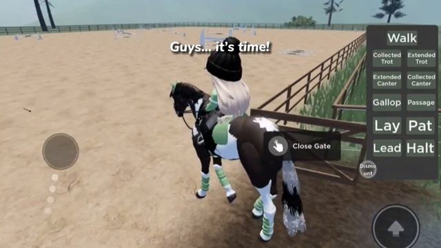 Kai’s Third Competition! | Roblox MSE смотреть онлайн