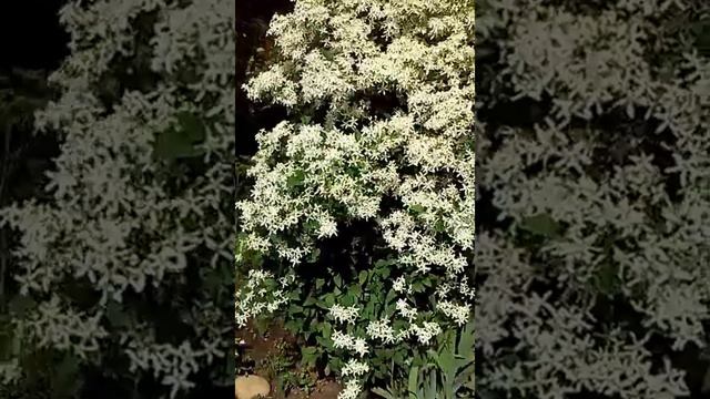 20150702 145914 смотреть онлайн