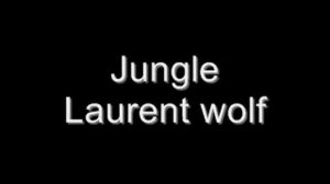 jungle - laurent wolf