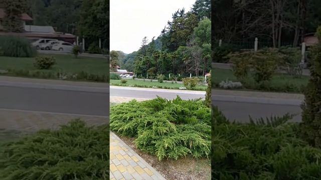 Сочи.Мацеста.Курорт