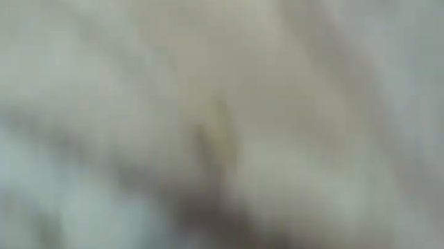 Прогулка по магазину