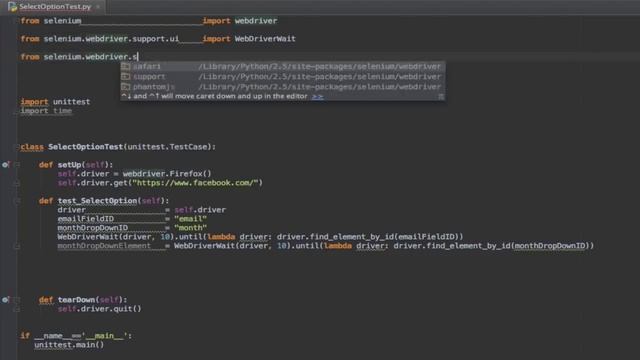 6. Selenium Webdriver with Python Tutorial - Basic Actions #2