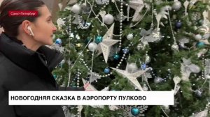 Новогодняя сказка в аэропорту Пулково: Дед Мороз приветствует прилетающих