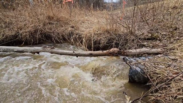 Unclogging Culvert Pipe, First Draining Of 2023 And It Was Awesome смотреть онлайн